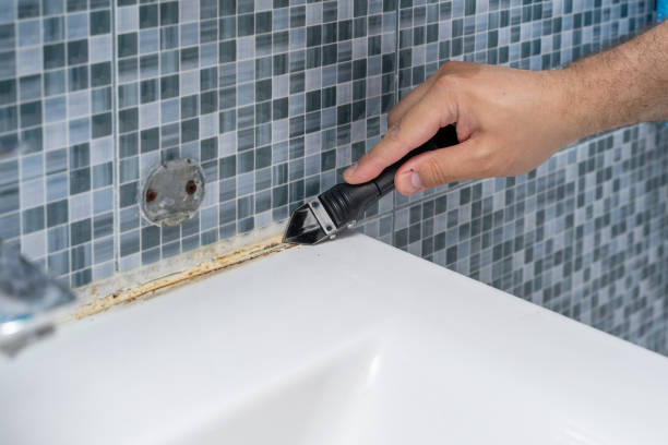 Reliable Marlborough, MO Mold Remediation Solutions